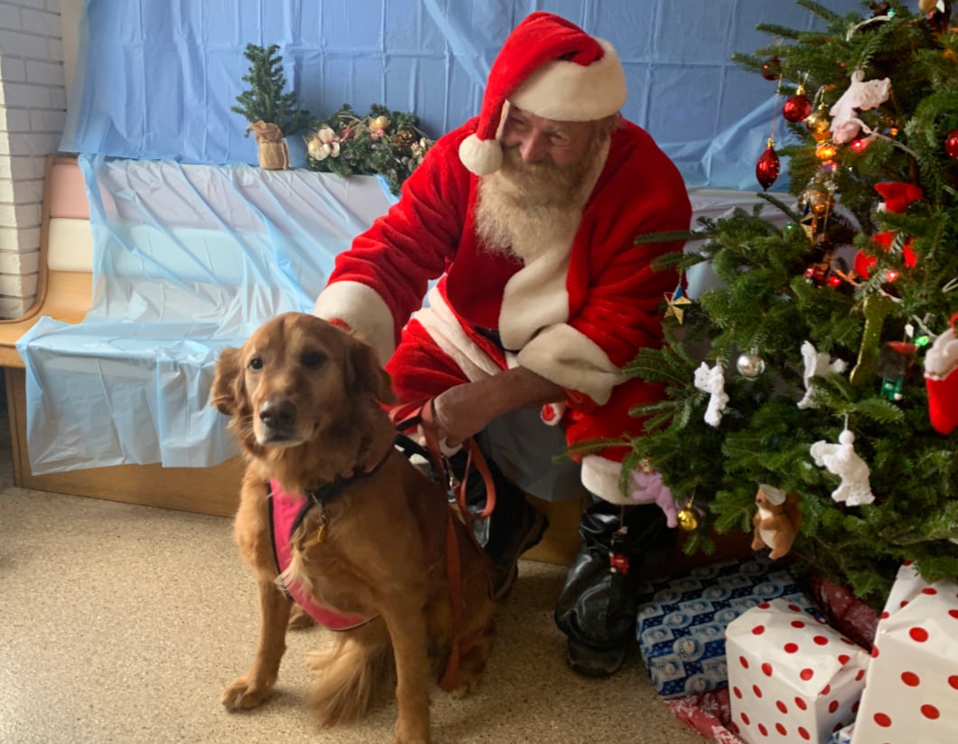Ridge Animal Clinic hosts pets for COVID-friendly photos with Santa - The  Lansing Journal