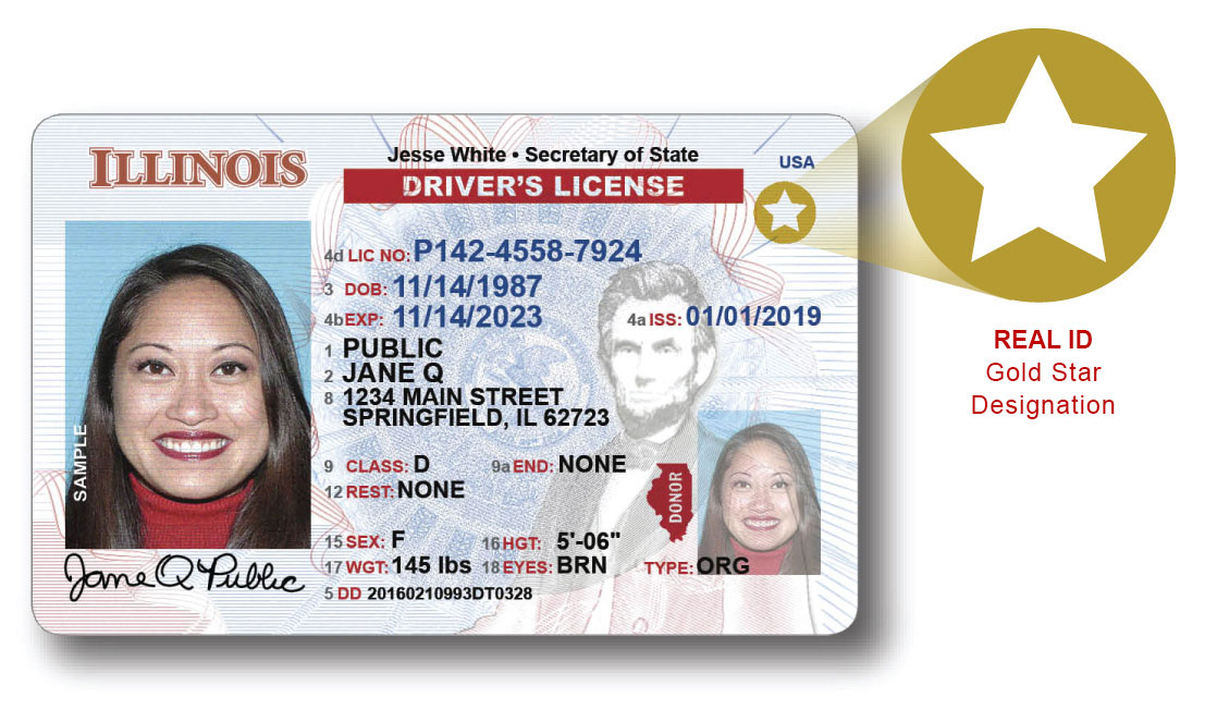 New IL legislation will provide driver's licenses to undocumented